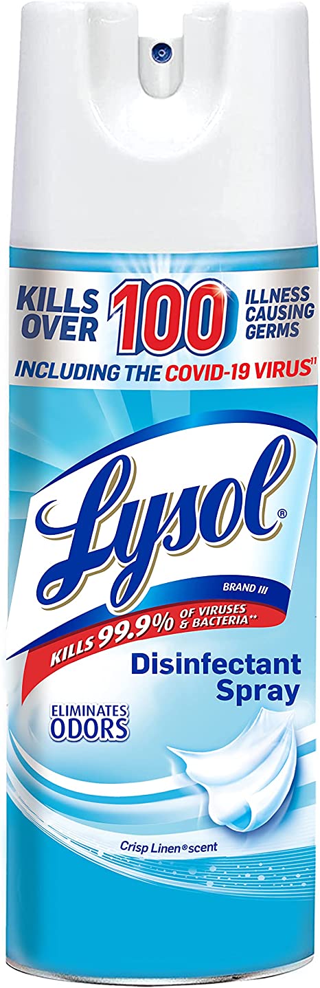 Does lysol kill bed bugs